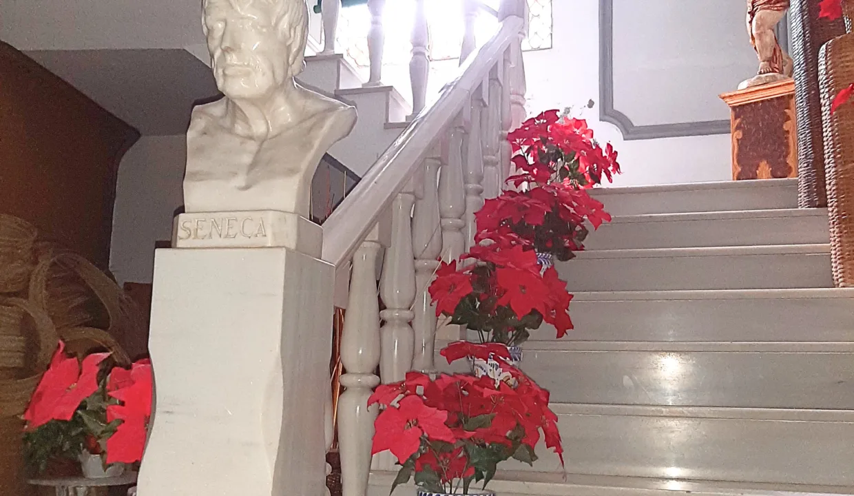 escaleras 1