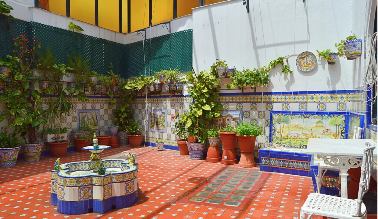 patio interior 3